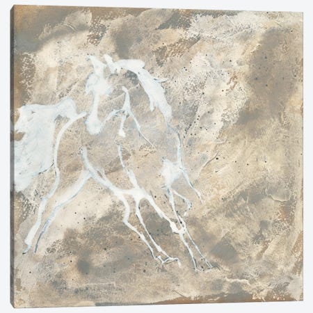 White Horse I Canvas Print #WAC9060} by Chris Paschke Canvas Art