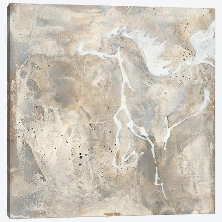 White Horse II Canvas Print #WAC9061} by Chris Paschke Canvas Artwork