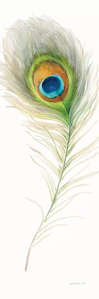 Feathers: Jaipur X by Danhui Nai