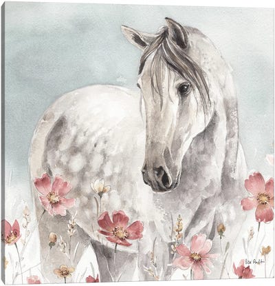 Wild Horses IV Canvas Art Print - Farm Animal Art