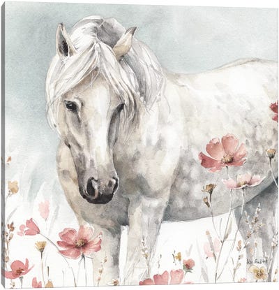 Wild Horses V Canvas Art Print - Farm Animal Art