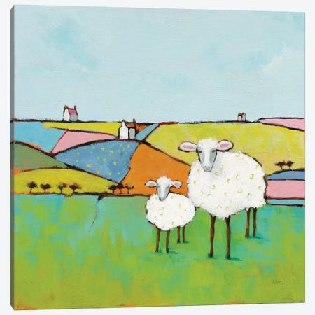Sheep In The Meadow Canvas Print #WAC9192} by Phyllis Adams Canvas Wall Art