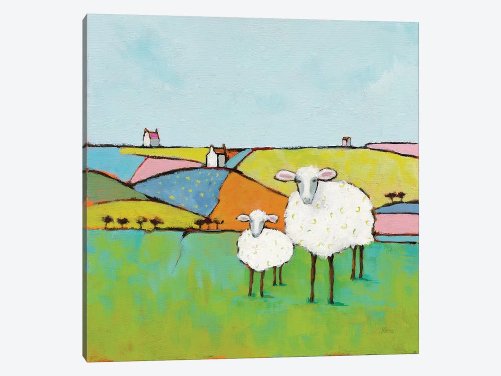 Sheep In The Meadow by Phyllis Adams 1-piece Canvas Print