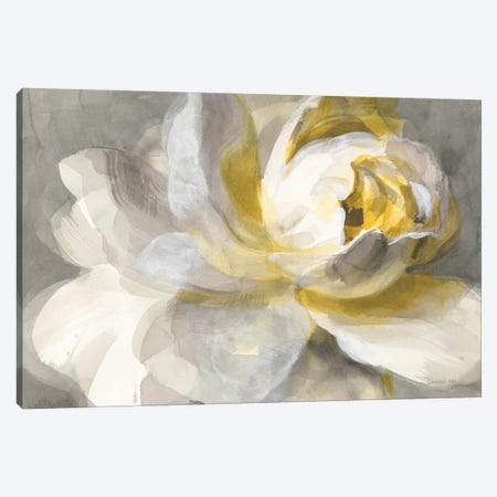 Abstract Rose Canvas Print #WAC9227} by Danhui Nai Art Print