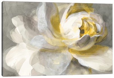 Abstract Rose Canvas Art Print - Spring Art
