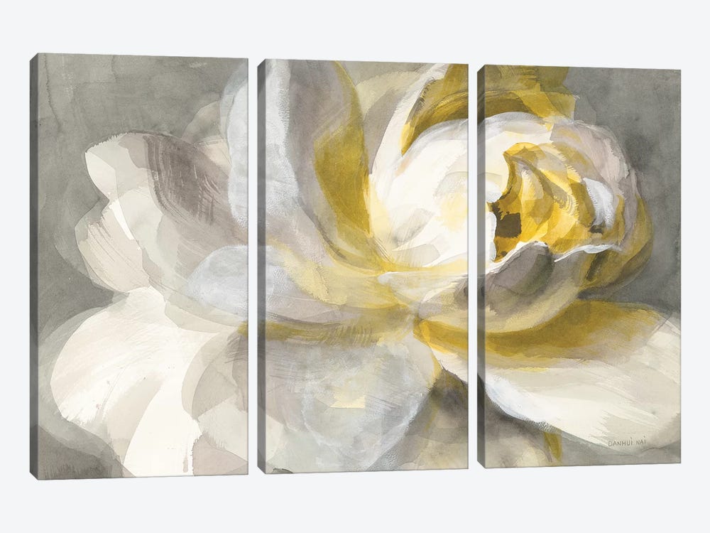 Abstract Rose by Danhui Nai 3-piece Canvas Art Print