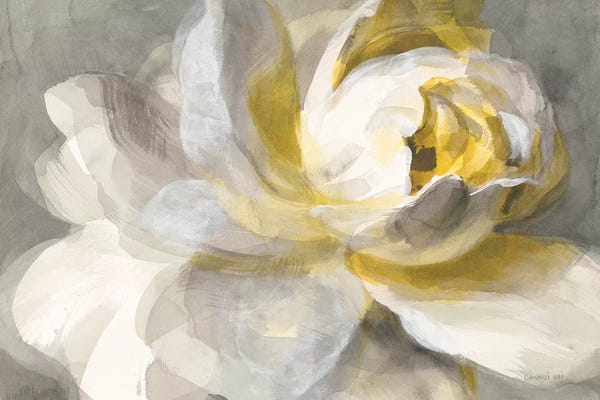 Large Abstract Art - Canvas Prints: Abstract Rose by Danhui Nai