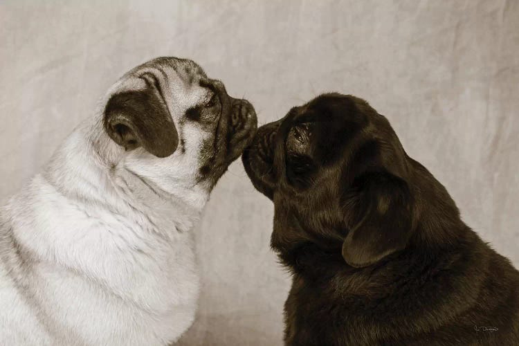 Pooch Smooch