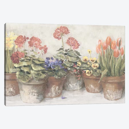 Spring In The Greenhouse Neutral Canvas Print #WAC9280} by Carol Rowan Canvas Artwork