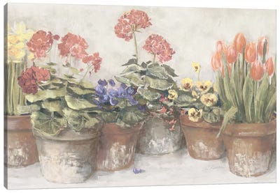 Spring In The Greenhouse Neutral Canvas Art Print - Carol Rowan