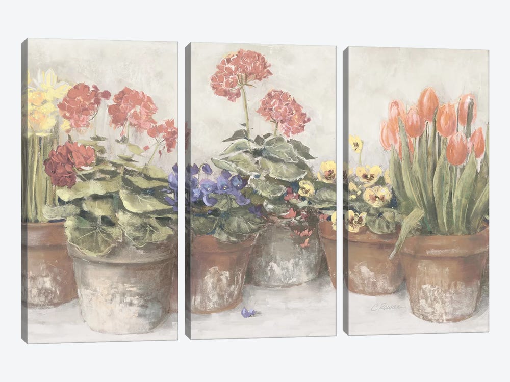 Spring In The Greenhouse Neutral by Carol Rowan 3-piece Canvas Wall Art