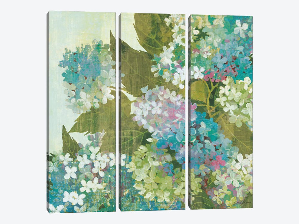 Grandiflora Bloom 3-piece Art Print