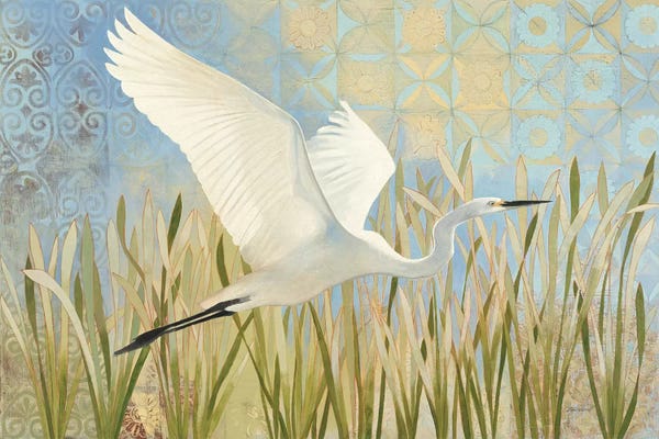 Egrets