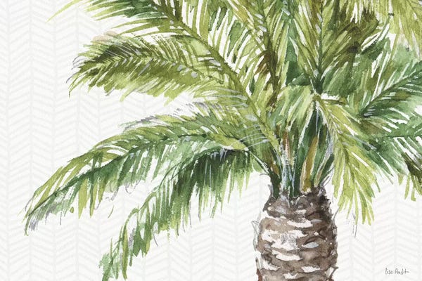 Palm Trees: Mixed Greens II by Lisa Audit