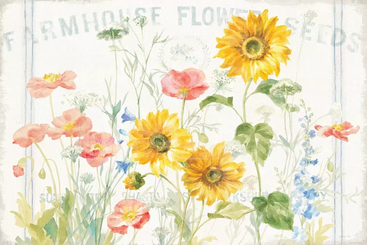 Floursack Florals I by Danhui Nai wall art