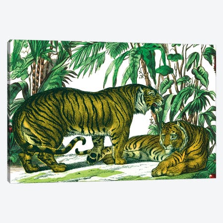 Jungle Flair V Canvas Print #WAC9575} by Wild Apple Portfolio Canvas Print