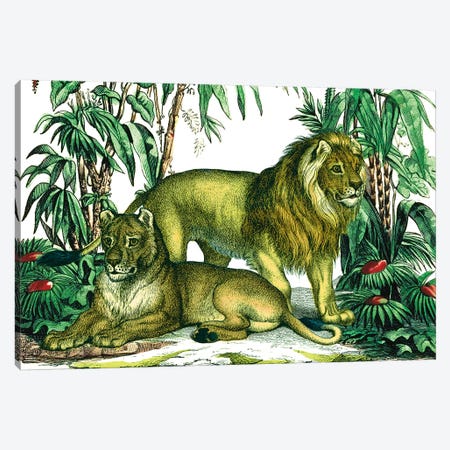 Jungle Flair VI Canvas Print #WAC9576} by Wild Apple Portfolio Canvas Print