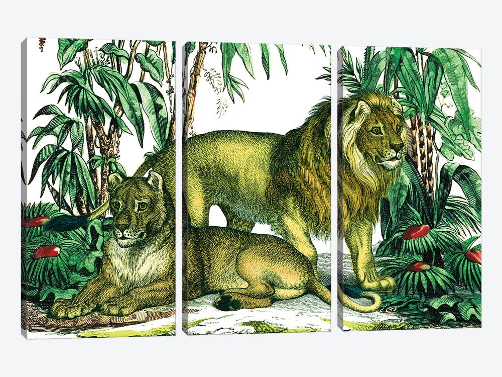 Jungle Flair VI by Wild Apple Portfolio 3-piece Canvas Art