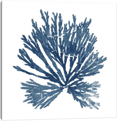Pacific Sea Mosses Blue on White II Canvas Art Print - Moss