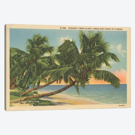 Florida Postcard III Canvas Print #WAC9718} by Wild Apple Portfolio Canvas Artwork