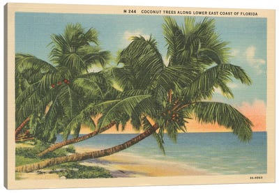 Florida Postcard III Canvas Art Print - Vintage Décor