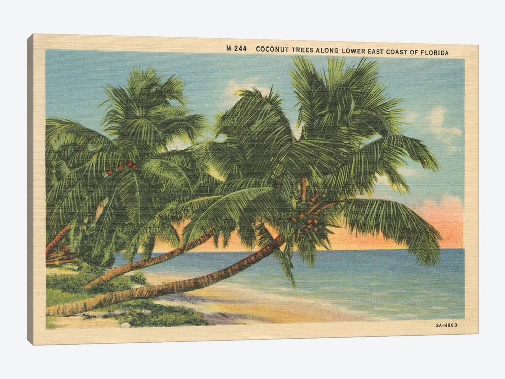 Florida Postcard III by Wild Apple Portfolio 1-piece Art Print