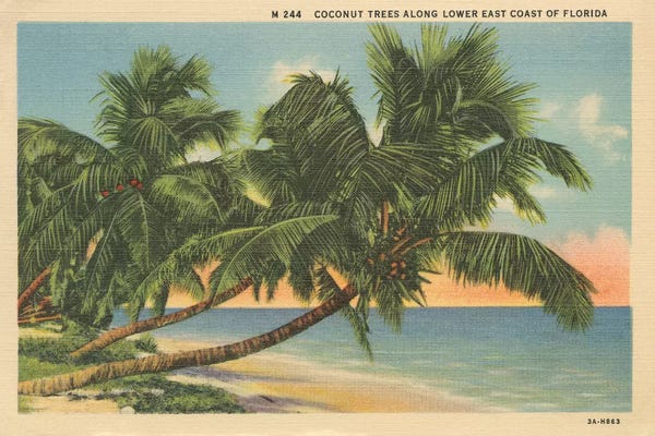 Tropical Beaches: Florida Postcard III by Wild Apple Portfolio