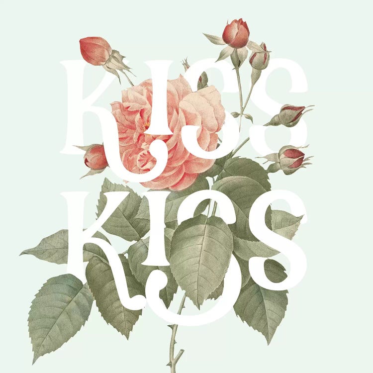 Botanical Pink Rose I Kiss by Wild Apple Portfolio wall art