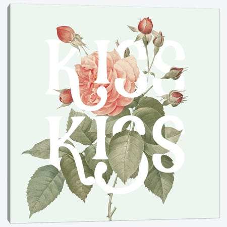 Botanical Pink Rose I Kiss Canvas Print #WAC9726} by Wild Apple Portfolio Canvas Wall Art