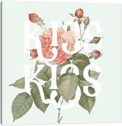 Botanical Pink Rose I Kiss Canvas Art Print - Wild Apple Portfolio
