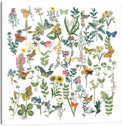 Flowers and Butterflies Canvas Art Print - Wild Apple Portfolio