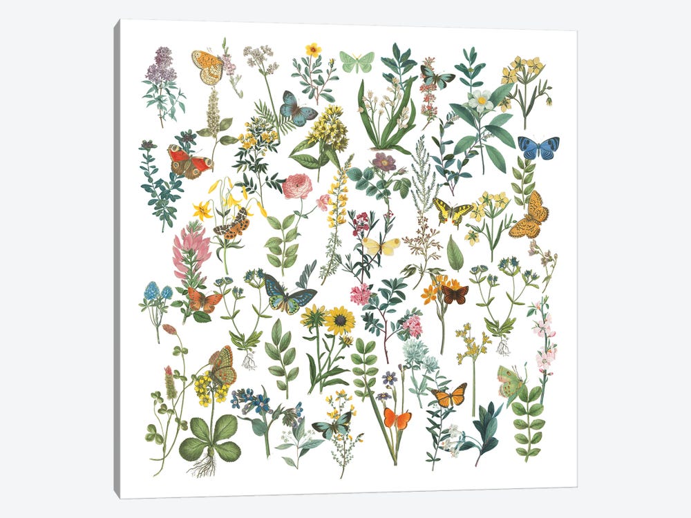 Flowers and Butterflies by Wild Apple Portfolio 1-piece Canvas Art Print