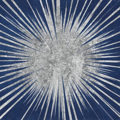 Sunburst I by Wild Apple Portfolio canvas print