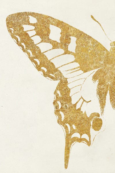 Butterfly Wings I by Wild Apple Portfolio canvas print