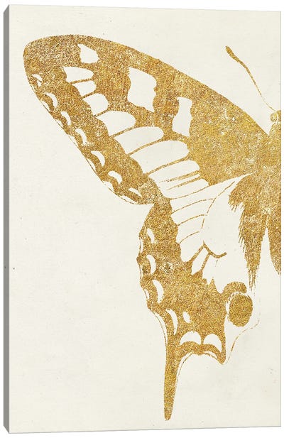 Butterfly Wings I Canvas Art Print - Wild Apple Portfolio