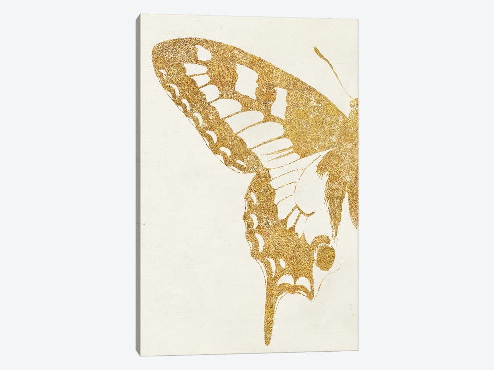 Butterfly Wings I by Wild Apple Portfolio 1-piece Canvas Art