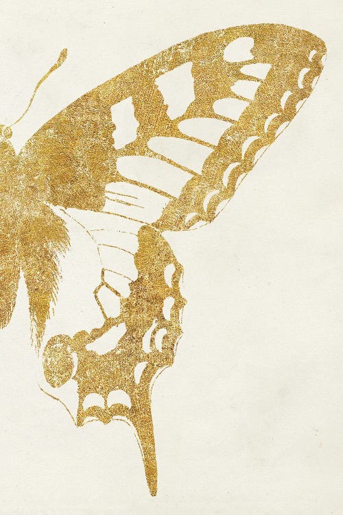 Butterfly Wings II by Wild Apple Portfolio wall art
