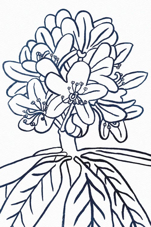 BW Blooms II by Wild Apple Portfolio wall art