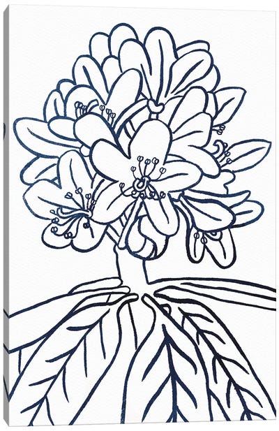 BW Blooms II Canvas Art Print - Wild Apple Portfolio
