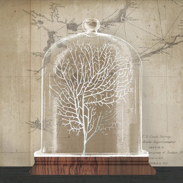 Coral: Coral Cloche I by Wild Apple Portfolio