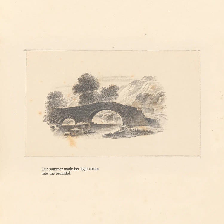 Textbook Landscape by Wild Apple Portfolio wall art