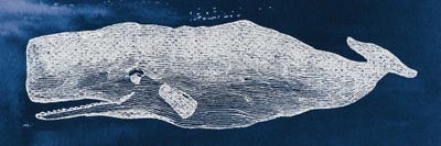 Whale On Blue Background by Wild Apple Portfolio multi panel art