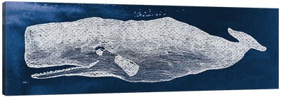 Whale On Blue Background Canvas Art Print - Wild Apple Portfolio