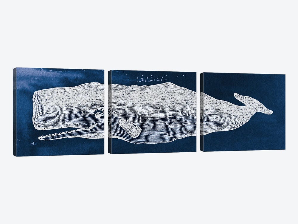 Whale On Blue Background by Wild Apple Portfolio 3-piece Art Print