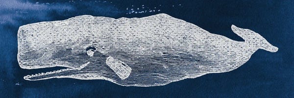Whales: Whale On Blue Background by Wild Apple Portfolio