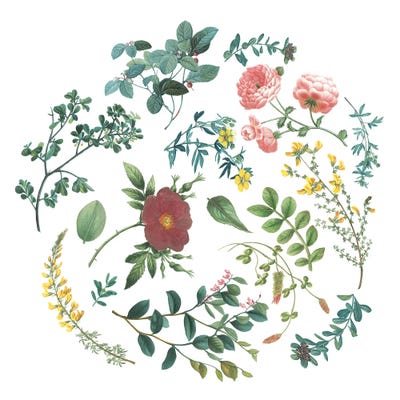 Bright Victorian Garden II by Wild Apple Portfolio multi panel art