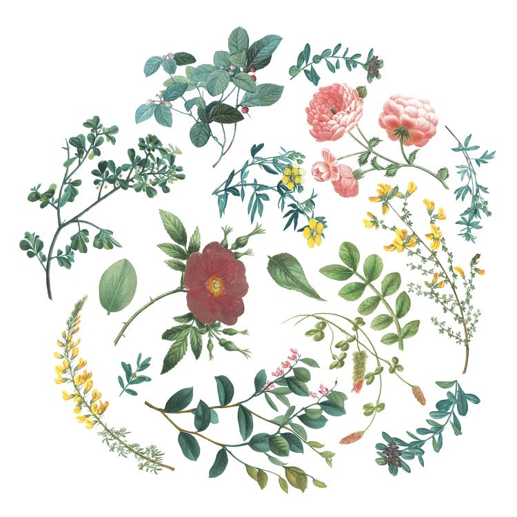 Bright Victorian Garden II by Wild Apple Portfolio wall art