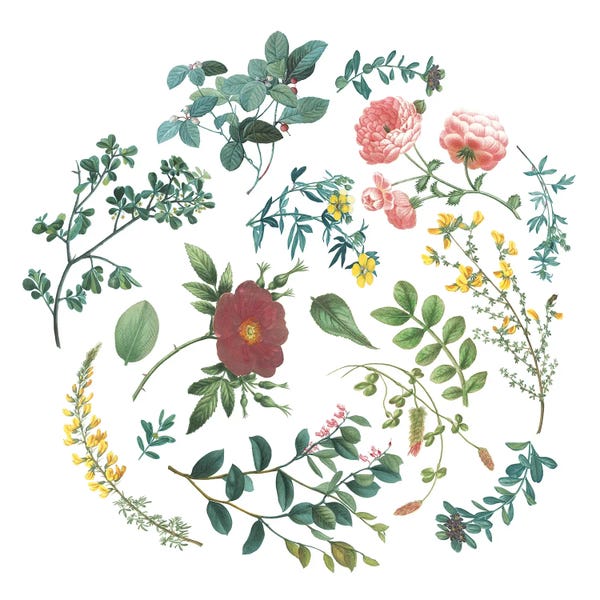 Bright Victorian Garden II