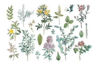 Bright Victorian Garden IV by Wild Apple Portfolio multi panel art