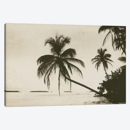 Palm Beach I Canvas Print #WAC9838} by Wild Apple Portfolio Canvas Print
